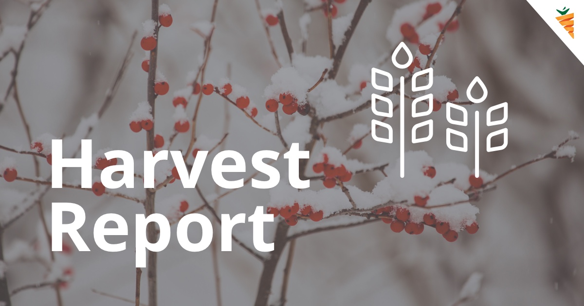 A New Investor Closing Deals In A Competitive Market Connor’s 60k