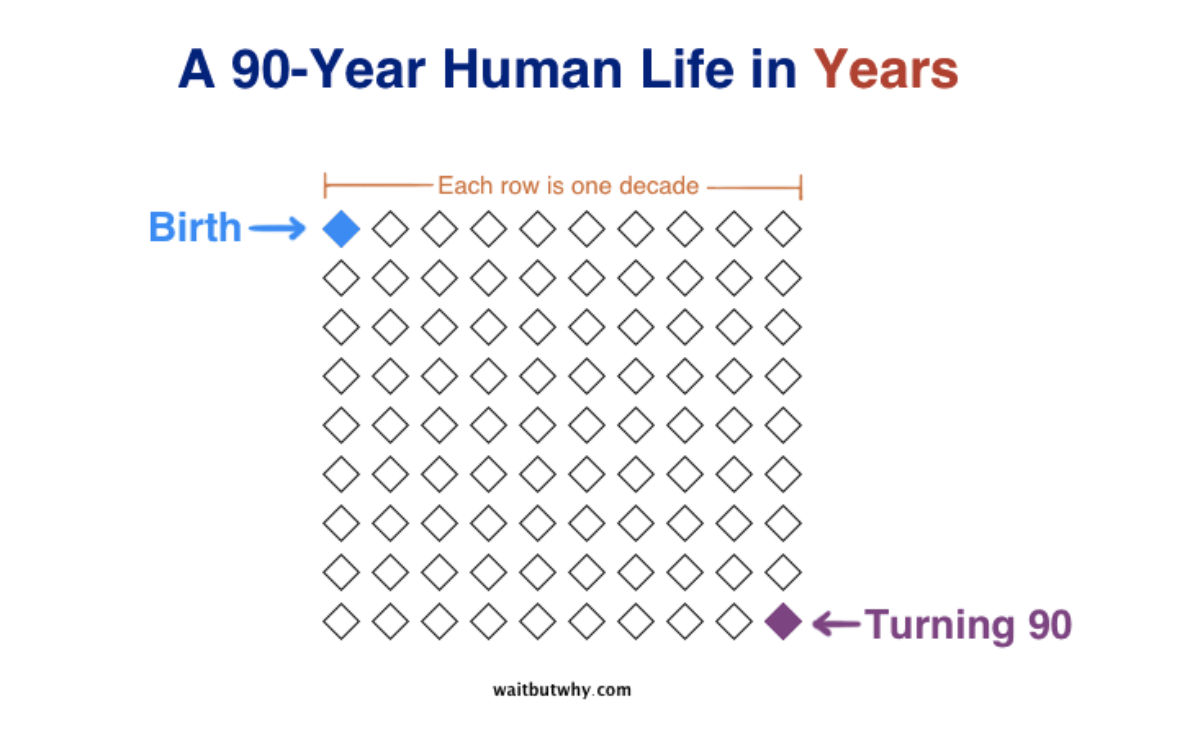 A 90-Year Human Life in Years