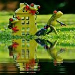 Southington CT house buyer