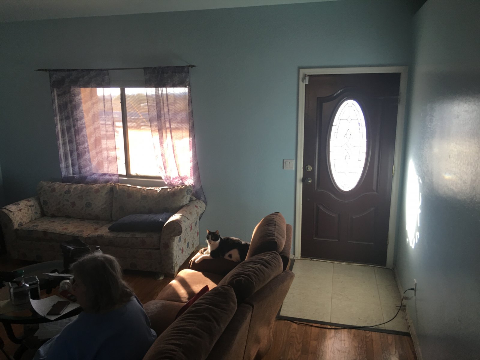 1 Acre Horse Property 2006 build with 50k Equity! 2205 S 349th