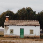 cash offer on my house