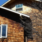 Avoid Getting Scammed When Selling a House in Probate
