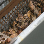 home maintenance