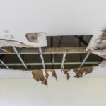 Will my insurance cover damage to my home