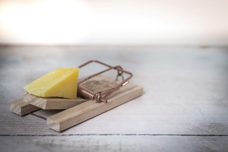 A mouse trap with some cheese in it. Hiring some professionals to handle the problem is essential in selling your Johnston County, NC, home with a pest infestation.