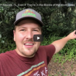 a screenshot of a YouTube video