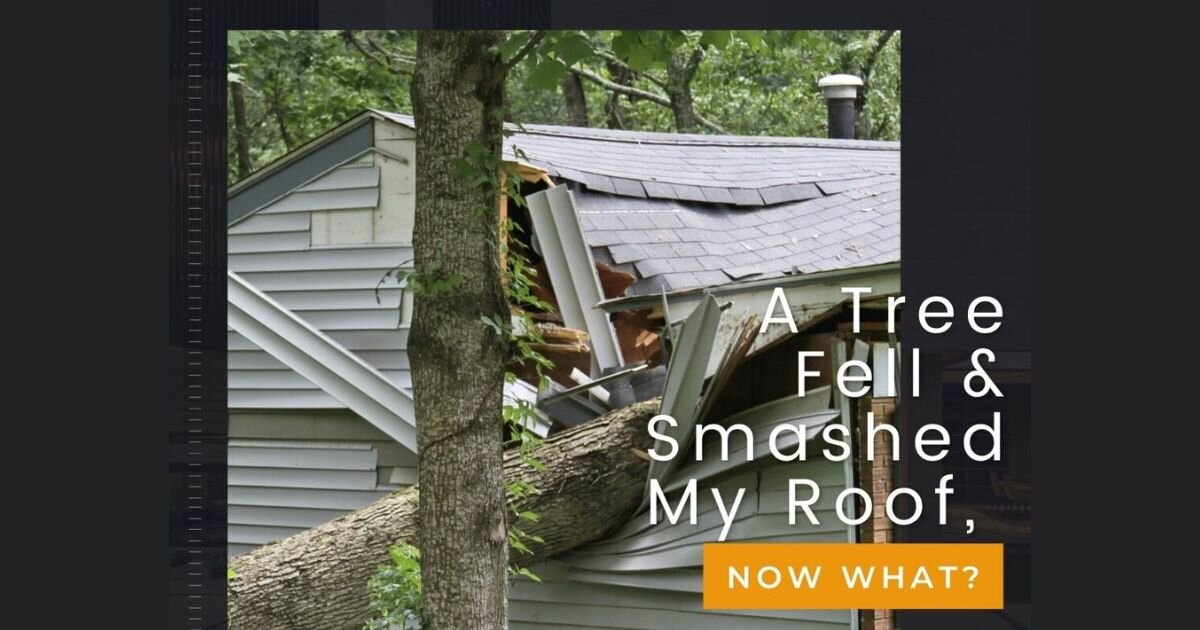 What do I do if s tree falls on my house?