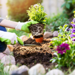 A Guide to Improving Your Home’s Curb Appeal