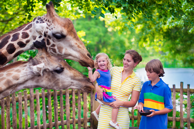 Photo of a young mother with two kids playing with a giraffe in the San Antonio Zoo in Converse, Texas