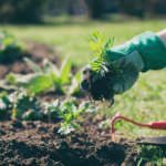 Low-Cost Ways To Improve Curb Appeal Of Your House