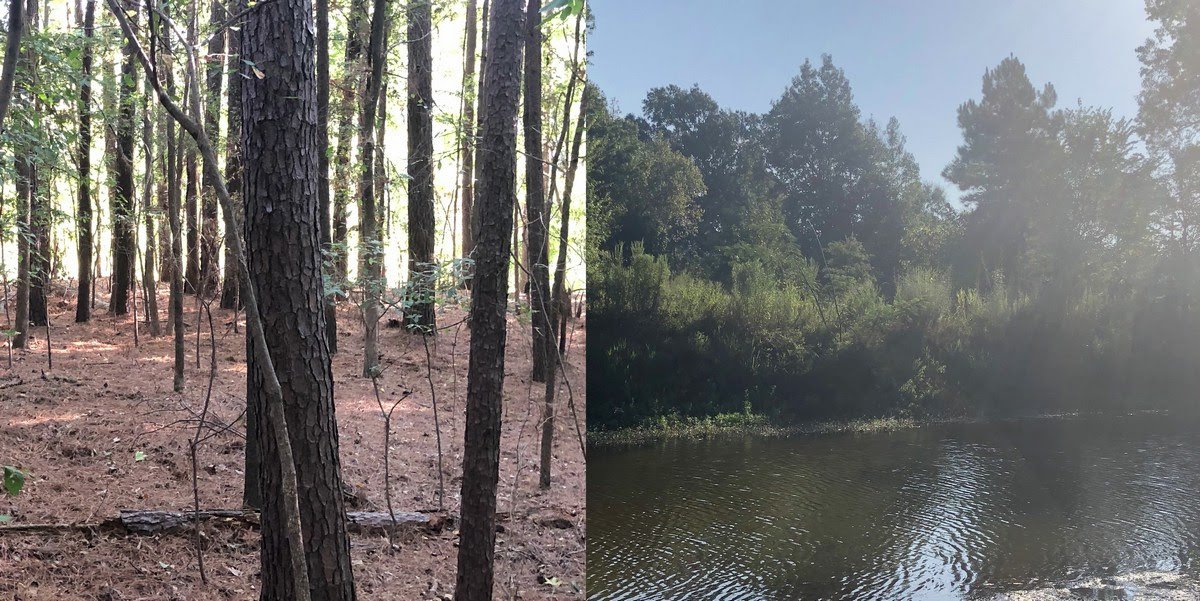 Lakefront 1/2 Acre On Lake Tyler East JLS Home Buyers