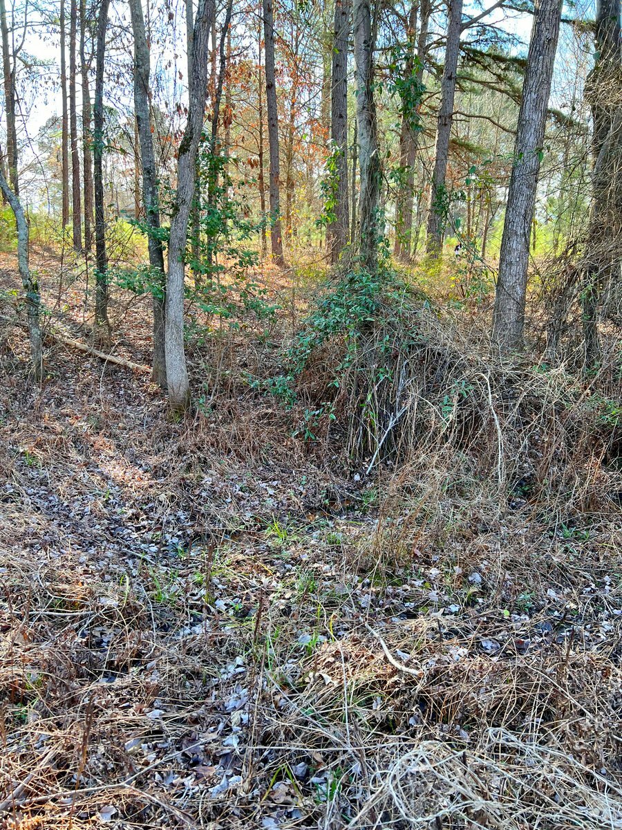 18-5-acres-lindale-isd-jls-home-buyers