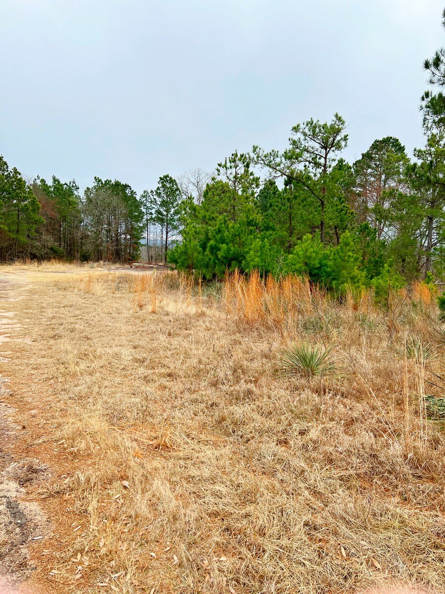 10 Acres Near Tyler State Park JLS Home Buyers