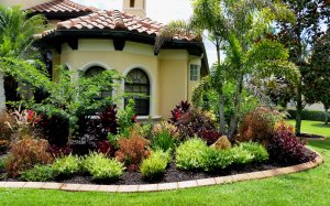 We Buy Ugly Houses Jacksonville Florida In Any Condition