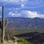 Tucson Arizona_Sell House Fast