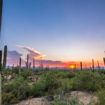 sell tucson land fast