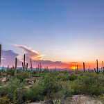 tucson land