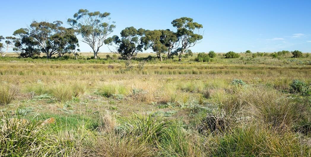 5 Ways Holding Onto Vacant Land Is Costing You In San Antonio