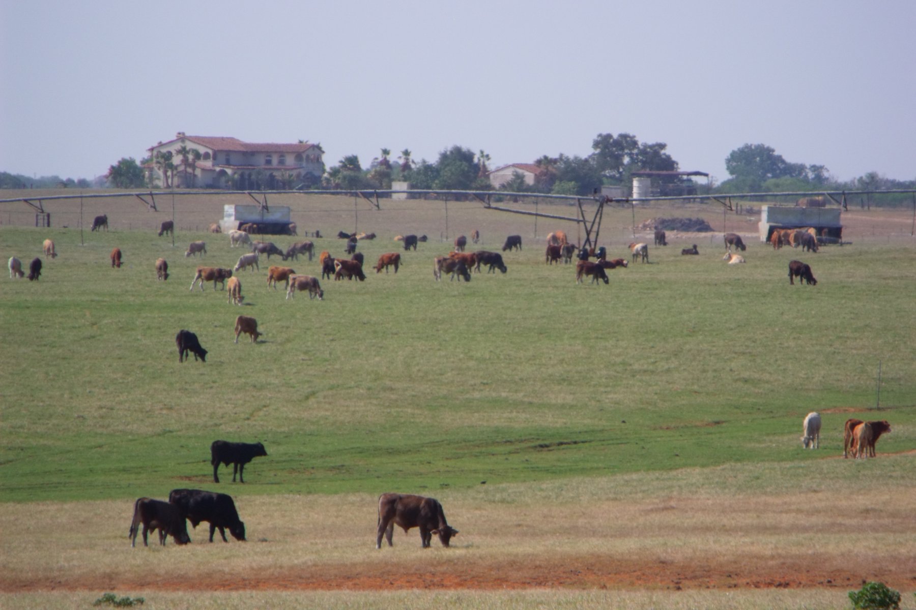 Everything You Need to Know Before Moving to Wonderful Floresville Texas