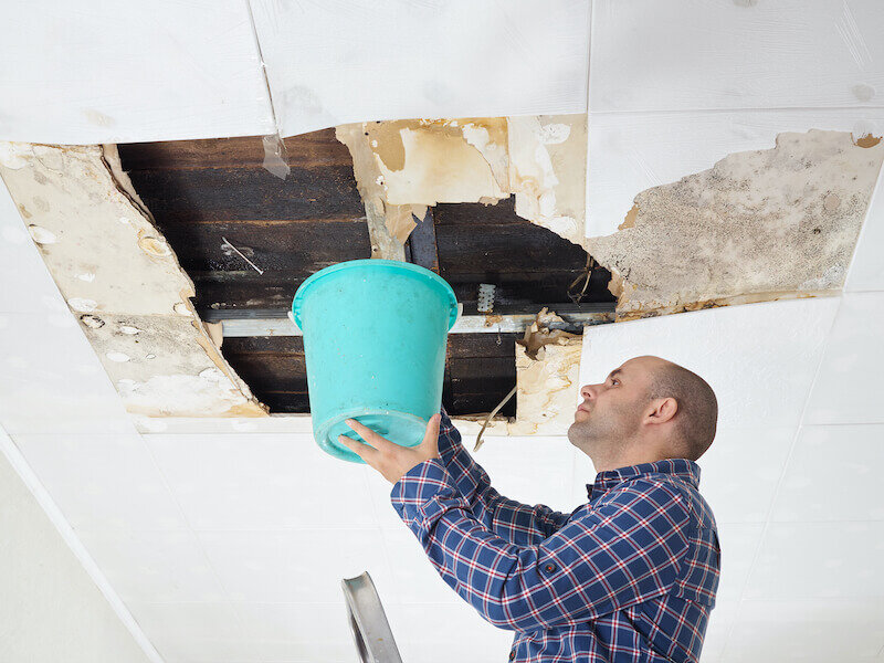 Man Collecting Water In Bucket From a water damaged Ceiling