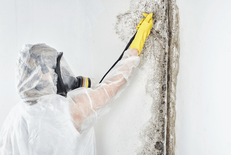 Fixing A House with Mold Before Selling