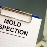 How Much Does a Mold Inspection Cost in Wisconsin in 2025