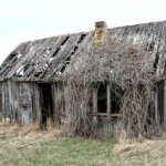 How Can I Sell My Ugly House in Utah?