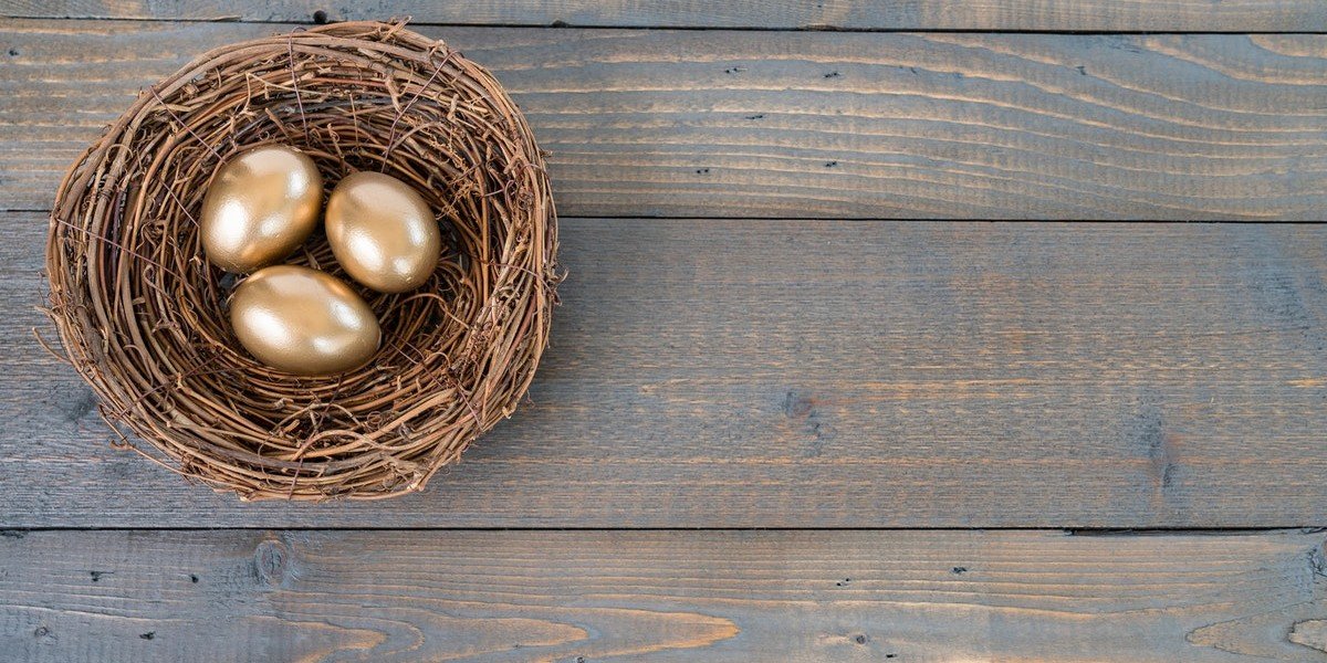 Self Directed IRA For Real Estate | golden eggs