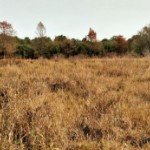 bare land for sale in | bare land