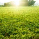 vacant land for sale by owner | vacant land