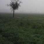 reasons we’re buying bare land in | foggy field