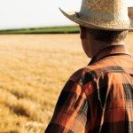Which Land Will Get You the Fastest Return | cowboy