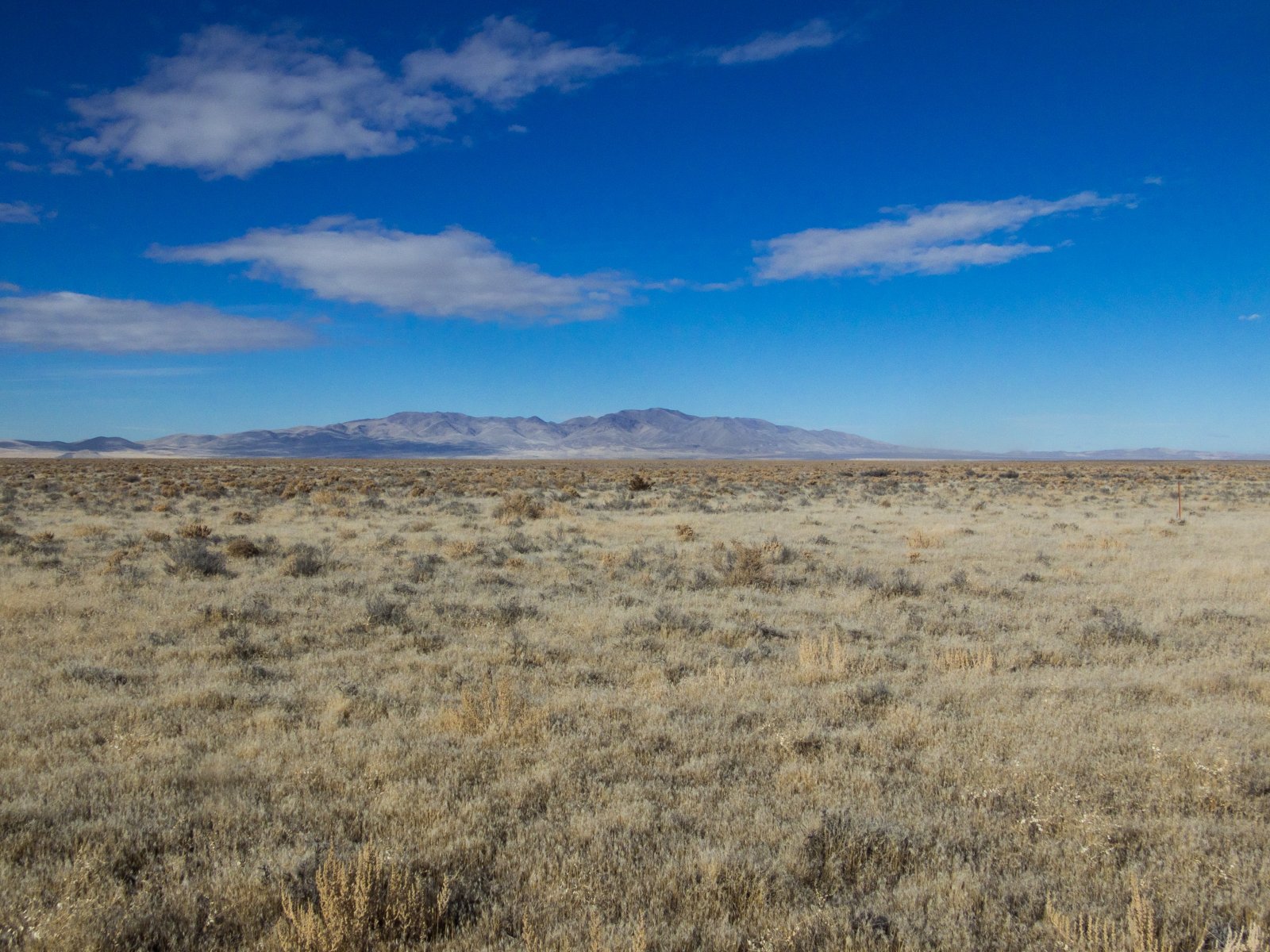 Golconda Land for sale owner financed