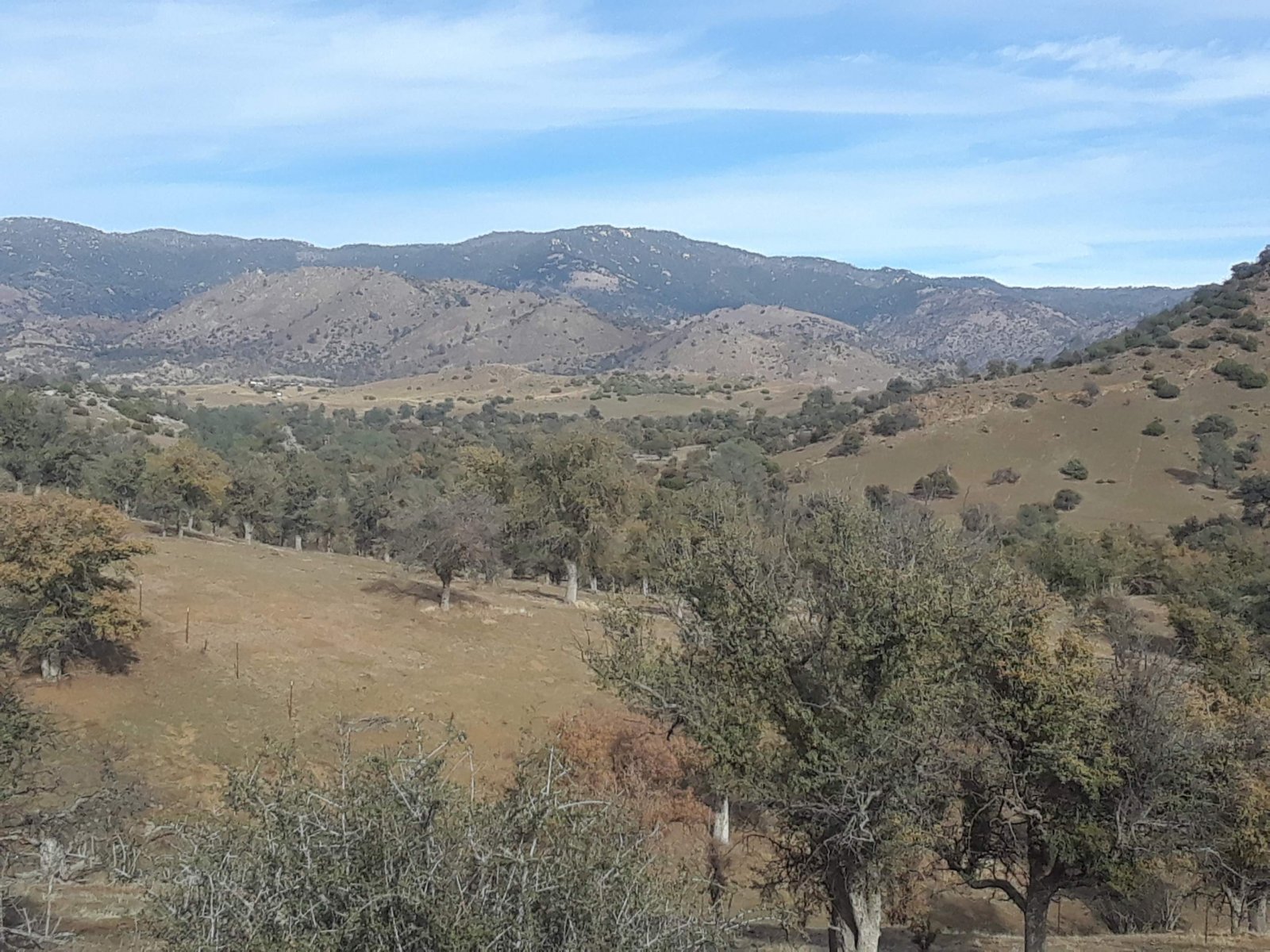 Twin Oaks Rolling HIlls Trees and Mountain Views