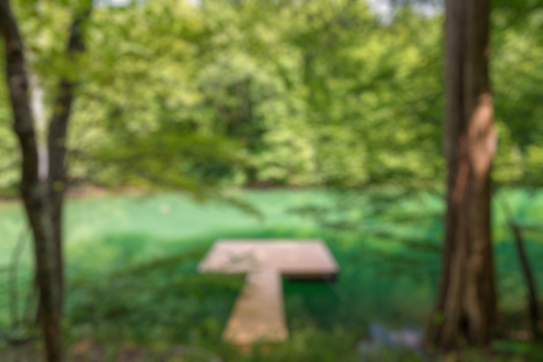 We Buy Houses in Knoxville, TN Sell My Knoxville Home for Cash