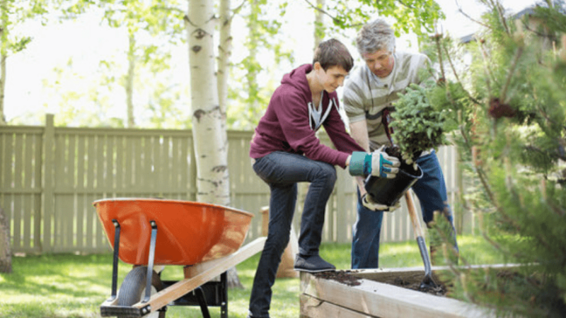 Ways To Completely Transform Your Home- Landscaping