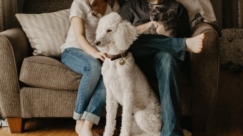 Tips For Selling Your House With Pets In Greater Cincinnati- family pet