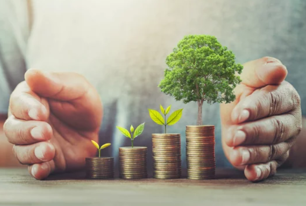 Maximize Profits When Selling Your House - Financial Gain