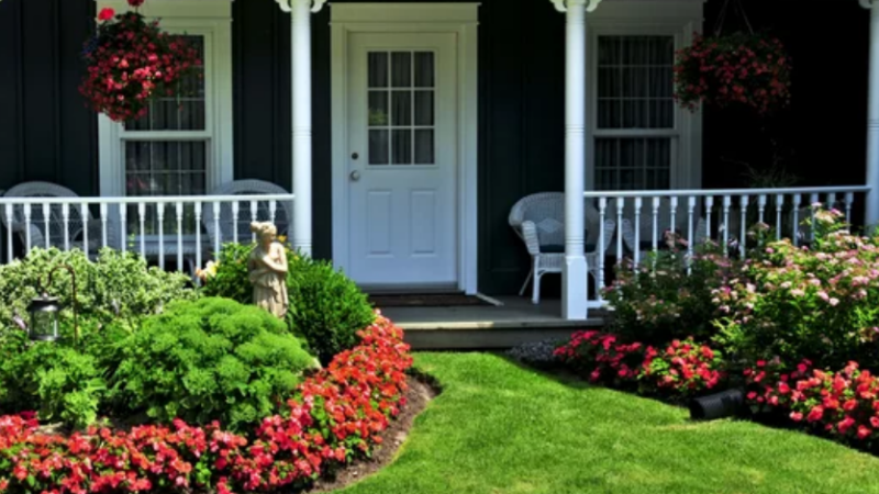 amp up curb appeal - Landscape