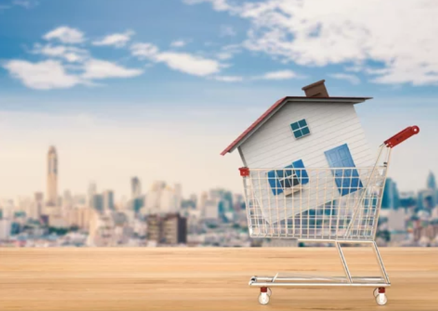 Reasons Not to Hesitate When Buying- Shopping cart