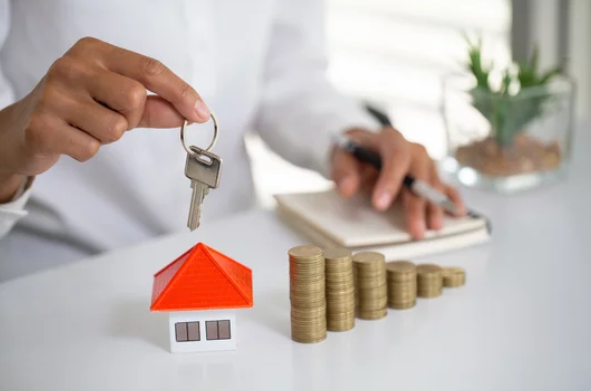 Buying and Selling Real Estate in a Competitive Market- Investment