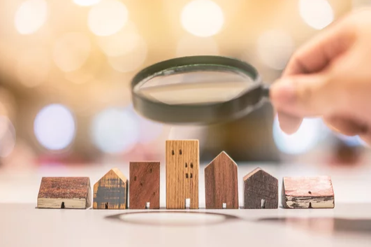 Searching for a House-magnifying-glass