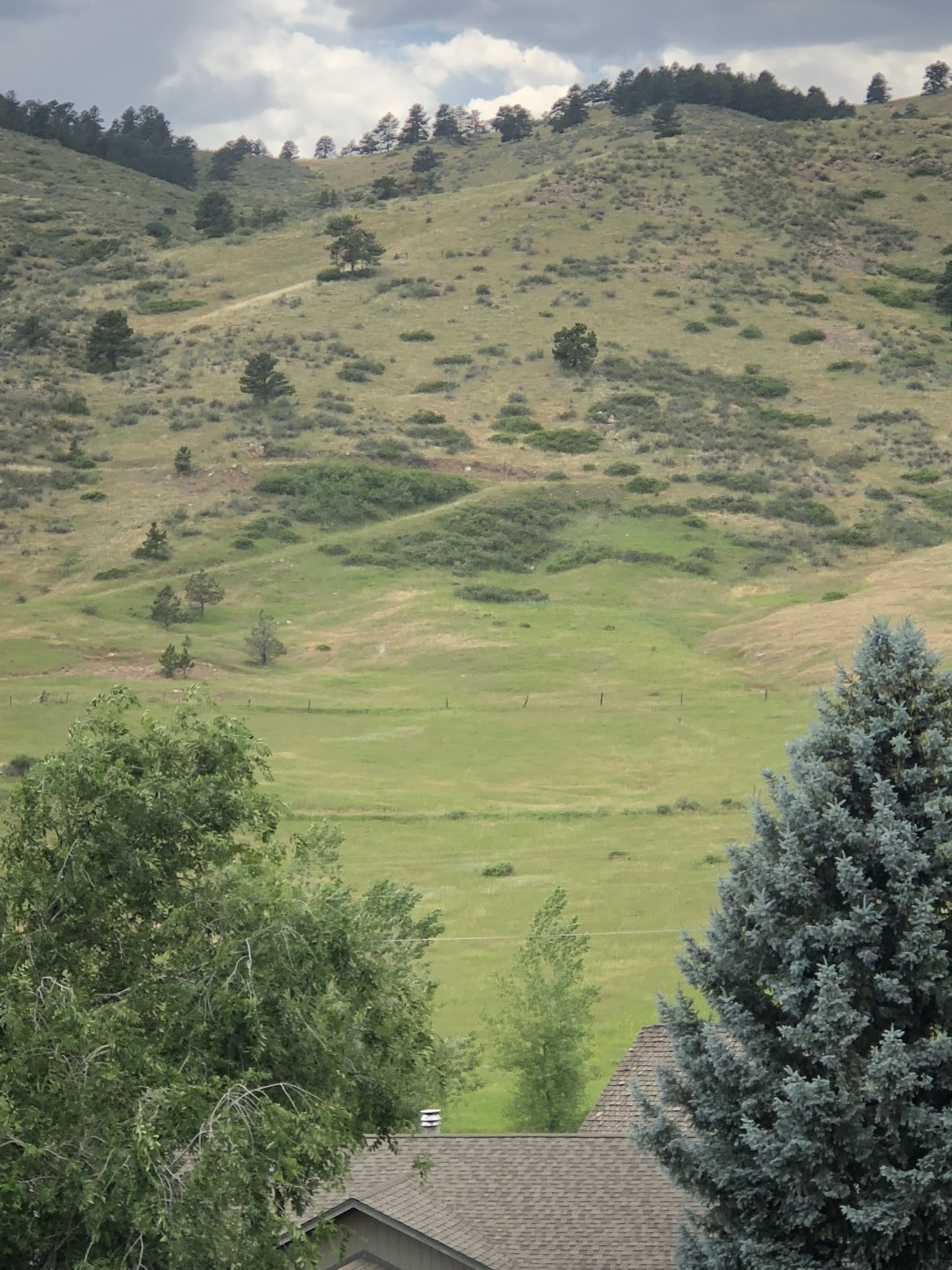 Sell My House Fast Estes Park Colorado We buy houses in Estes Park