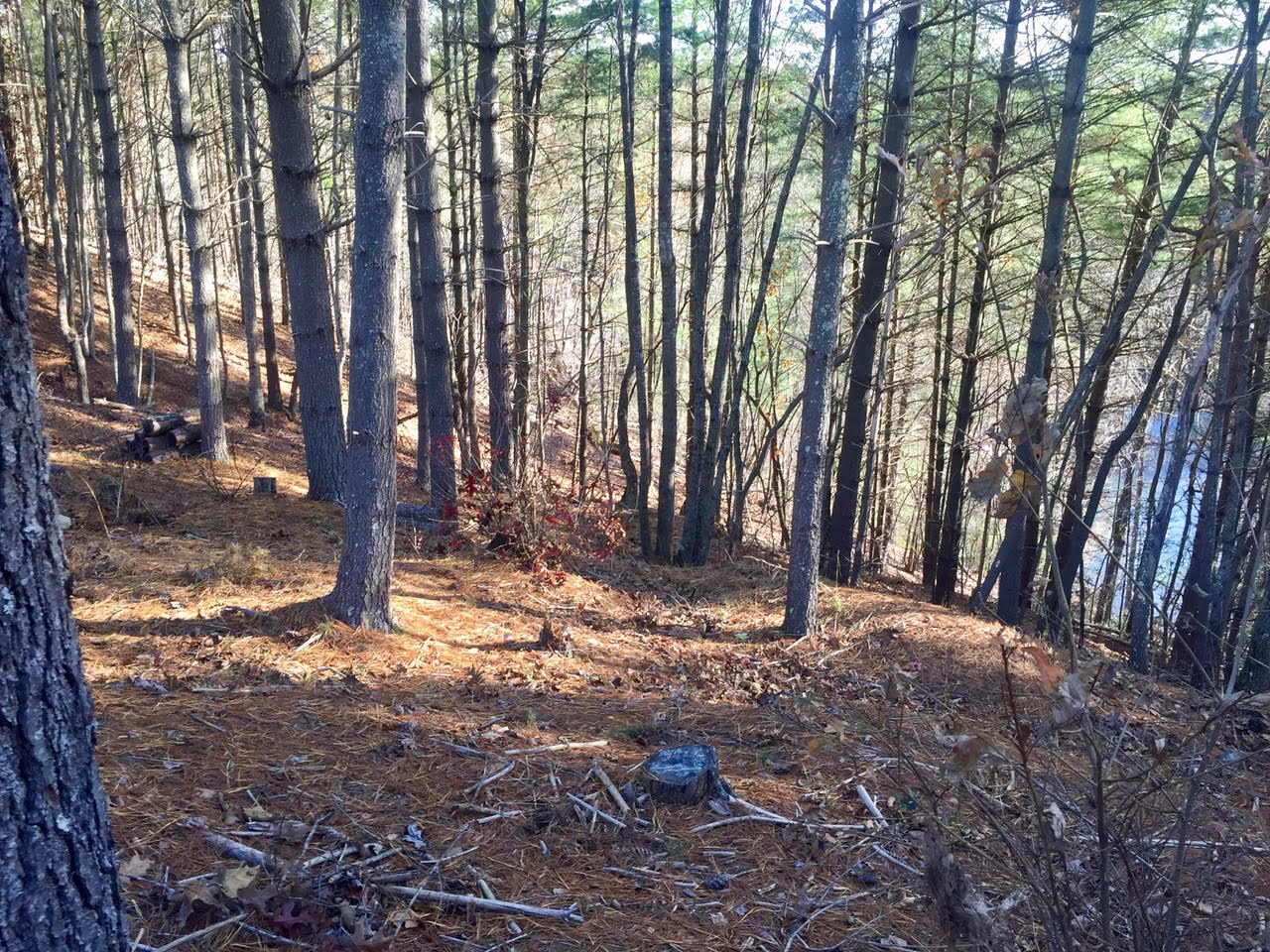 Lot 79 The Peninsula at Lake James (Nebo, NC) Jason Bentley