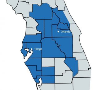 florida flat fee mls listing