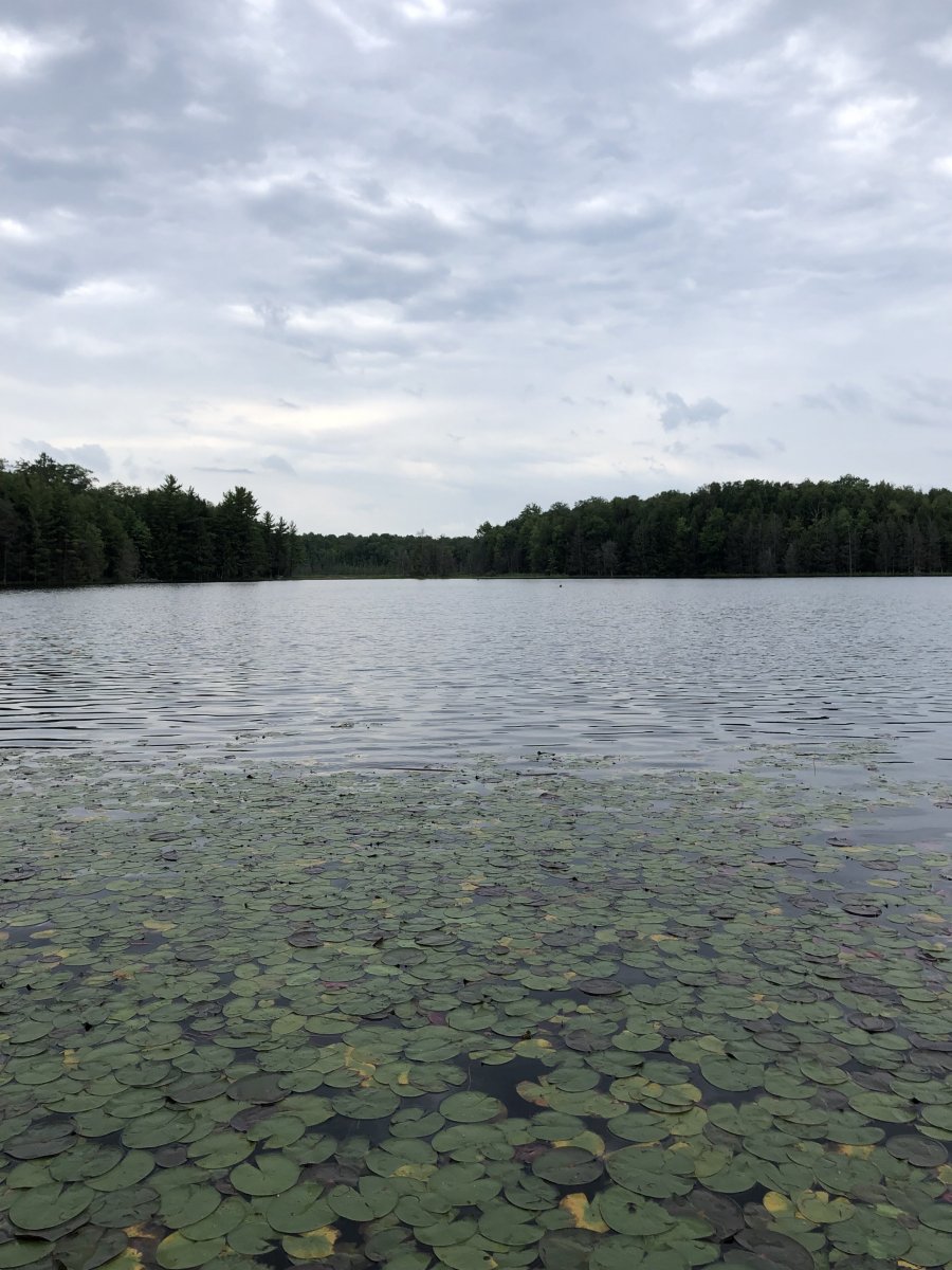 Sell My house Fast Fox Lake IL