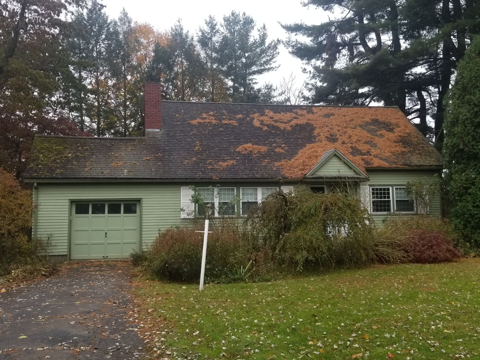 99 Bay Road, Hadley MA Ruby Realty LLC