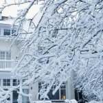 stage a house in plano tx for a winter sale