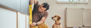 man-and-his-dog-doing-renovation-work-at-home-picture