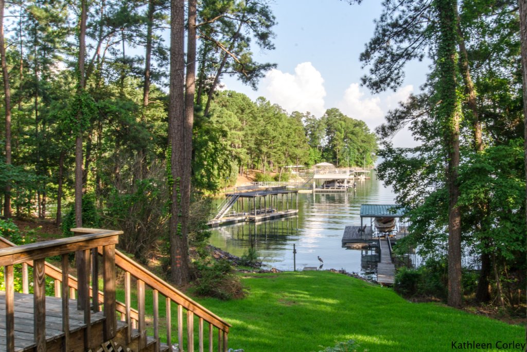 Lake Lanier Homes for Sale